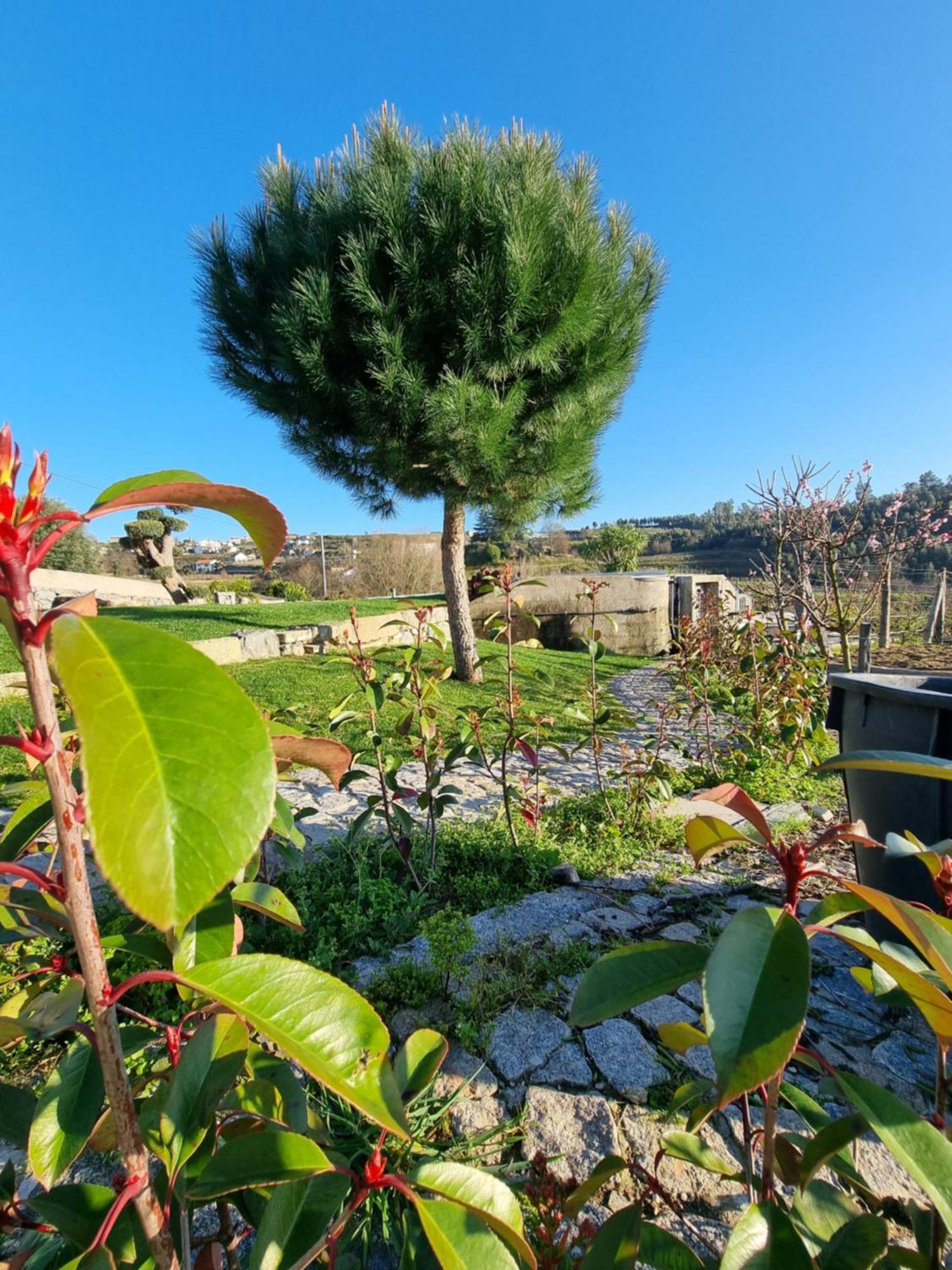Holiday home Casa Da Leira Amarante