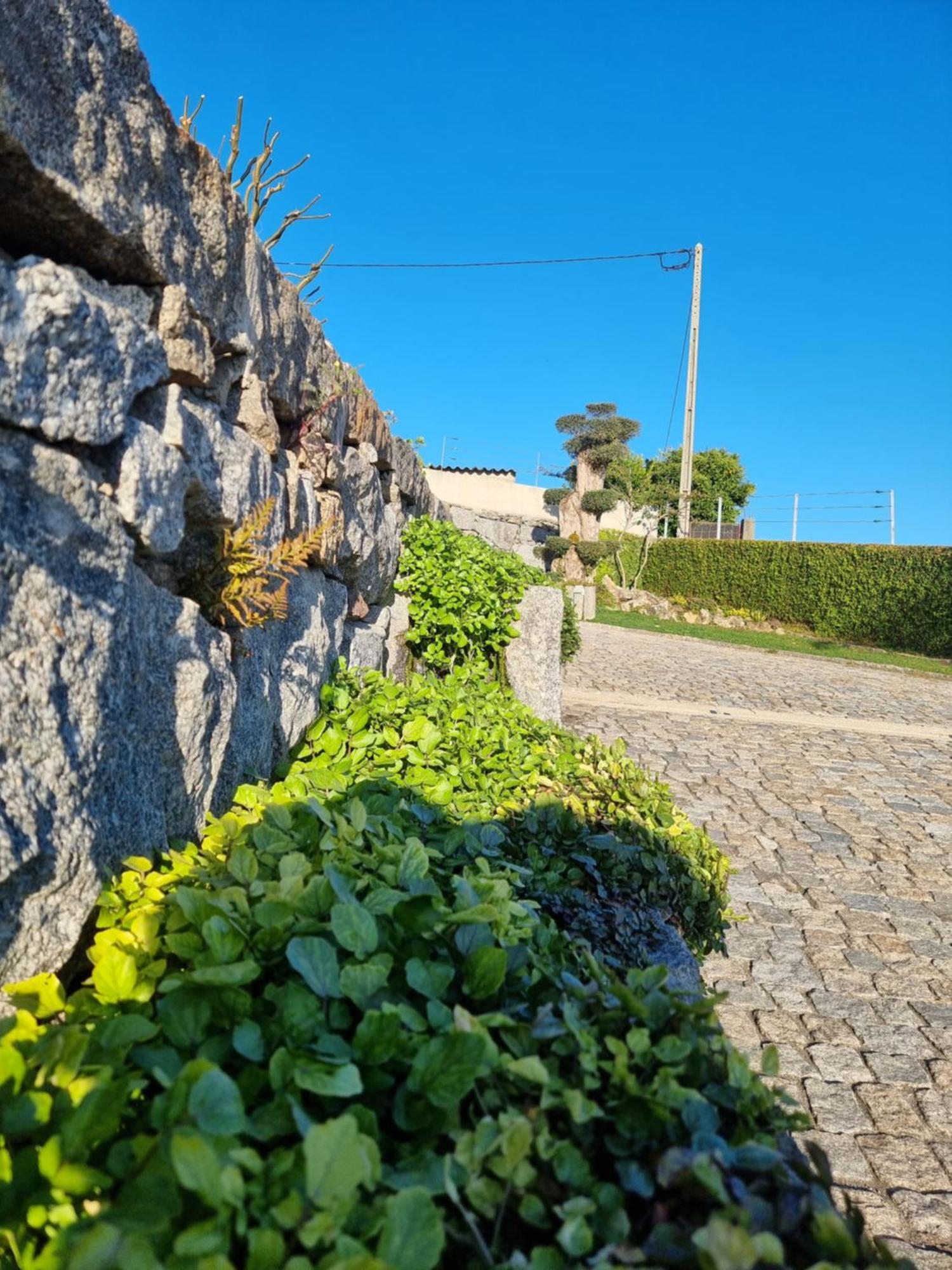 Holiday home Casa Da Leira Amarante
